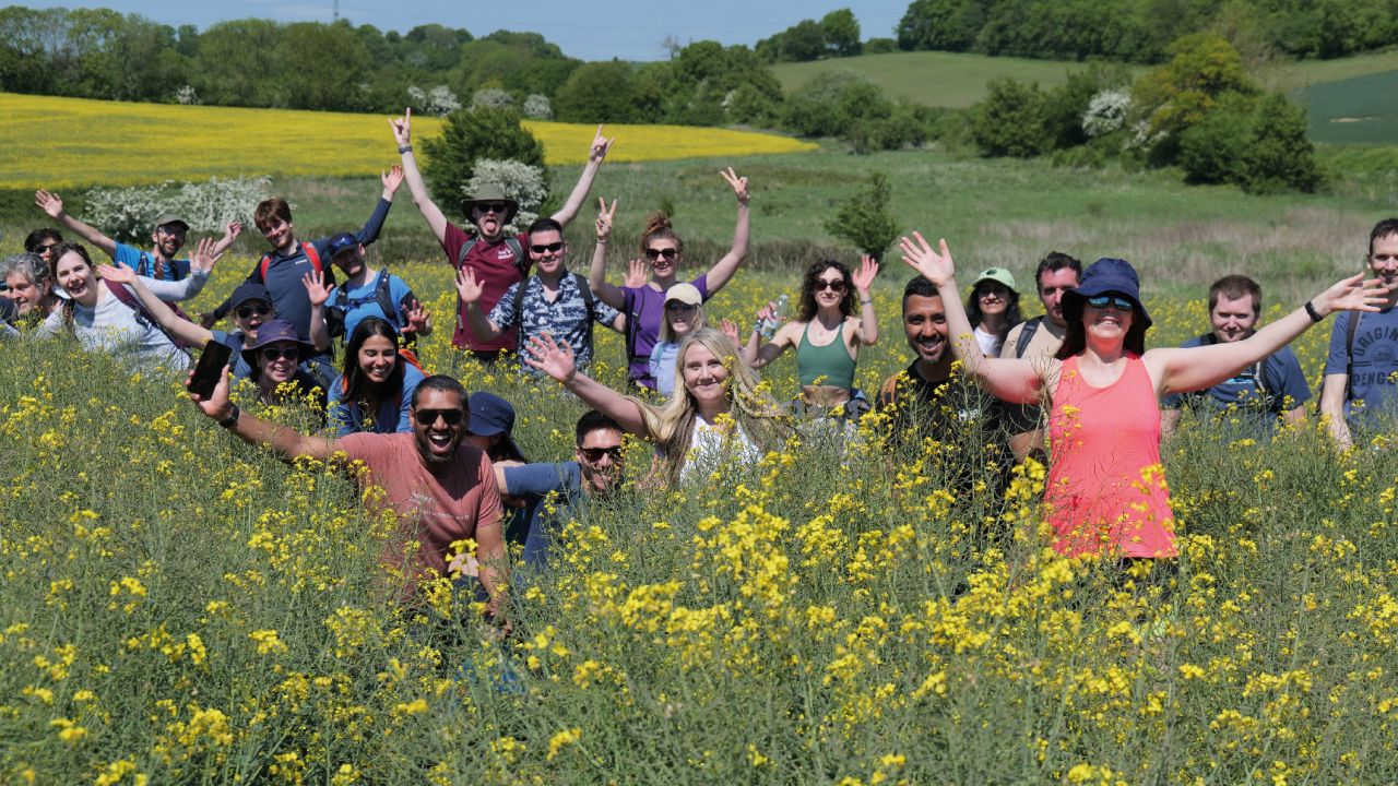 people in a field of yellow flowers waving their hands